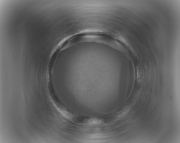 X0000066970348200603241216