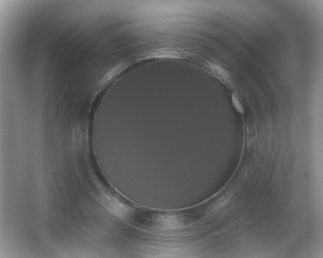 X0000066970349200603241216