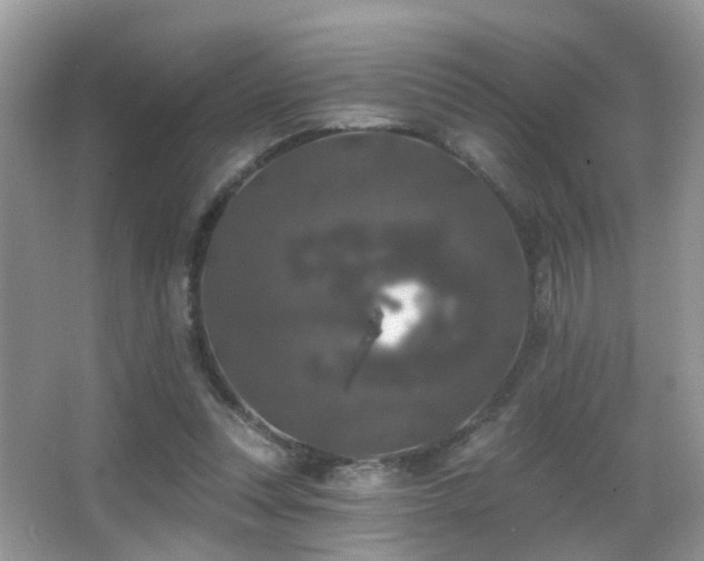 X0000066970351200603241216