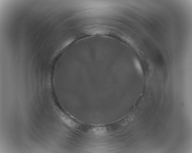 X0000066970353200603241216