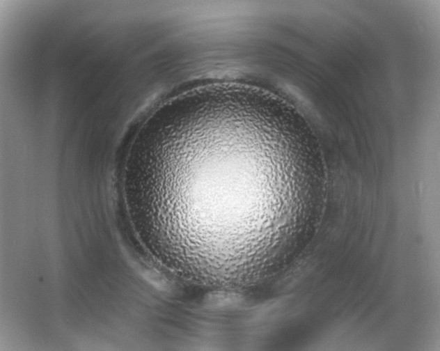 X0000066970354200603241216