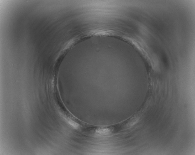 X0000066970357200603241216