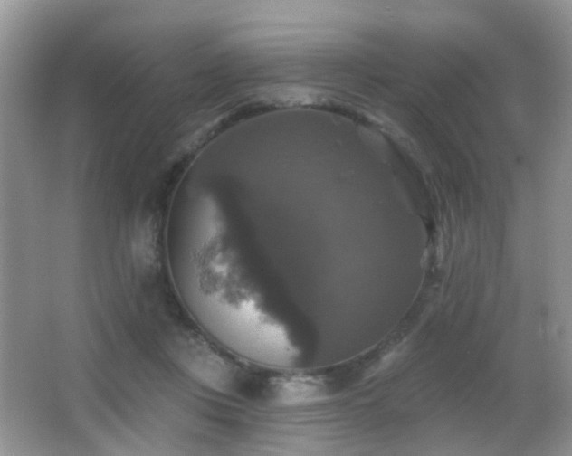 X0000066970359200603241217