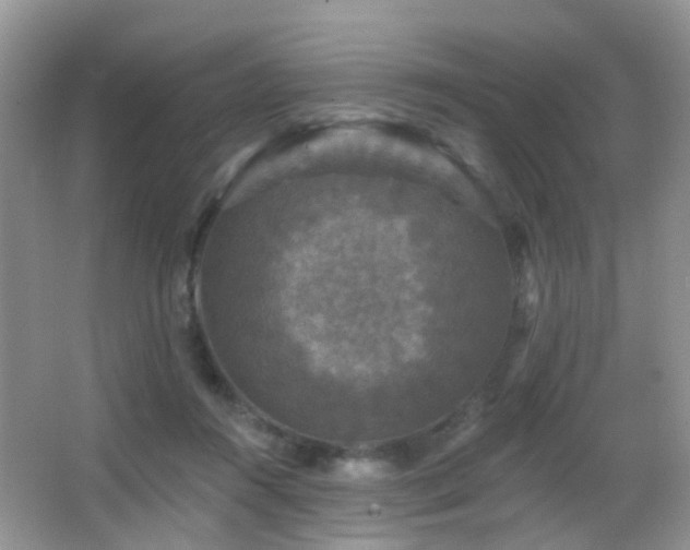 X0000066970360200603241217