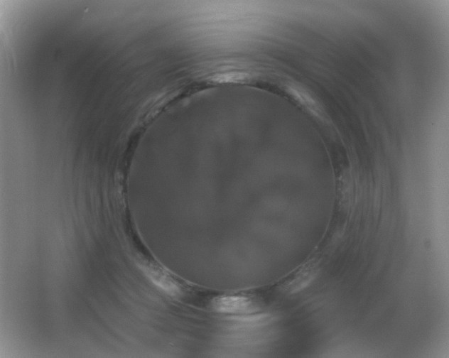 X0000066970361200603241217