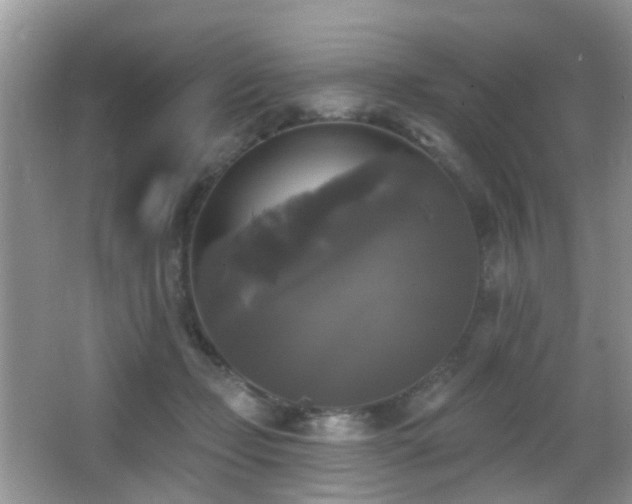 X0000066970365200603241217