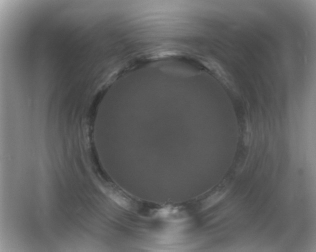 X0000066970366200603241217