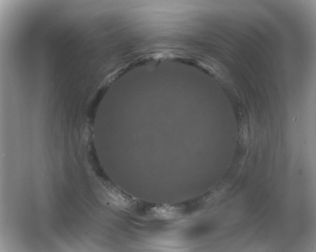 X0000066970367200603241217