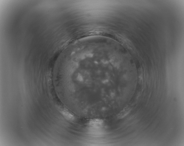 X0000066970369200603241217