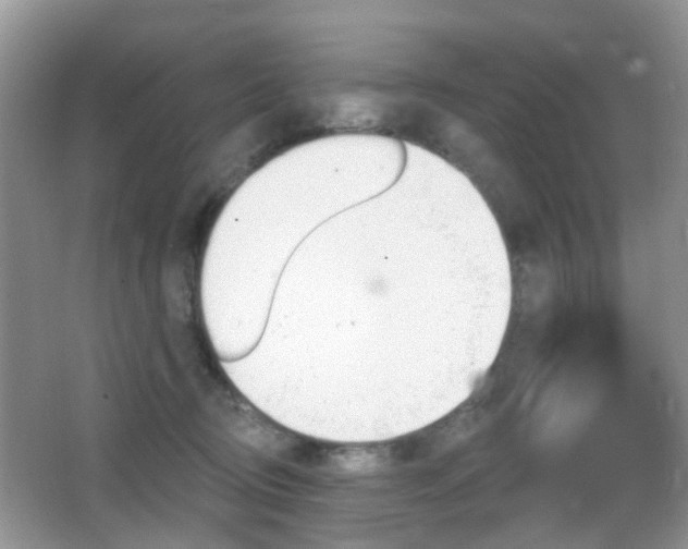 X0000066970370200603241217