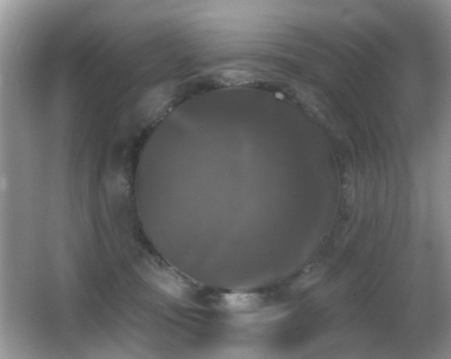 X0000066970371200603241217