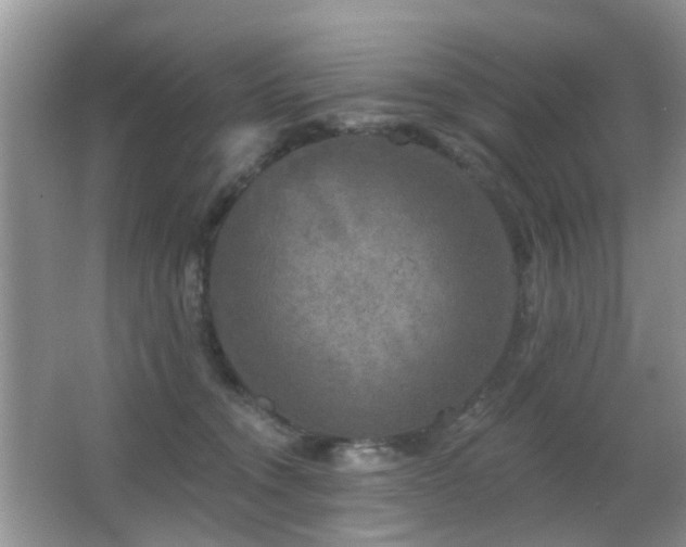 X0000066970372200603241217