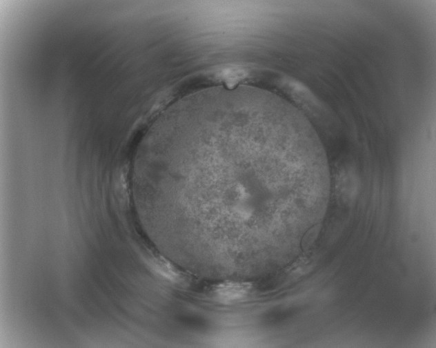 X0000066970373200603241217