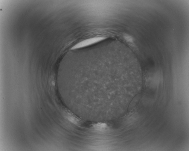 X0000066970374200603241217