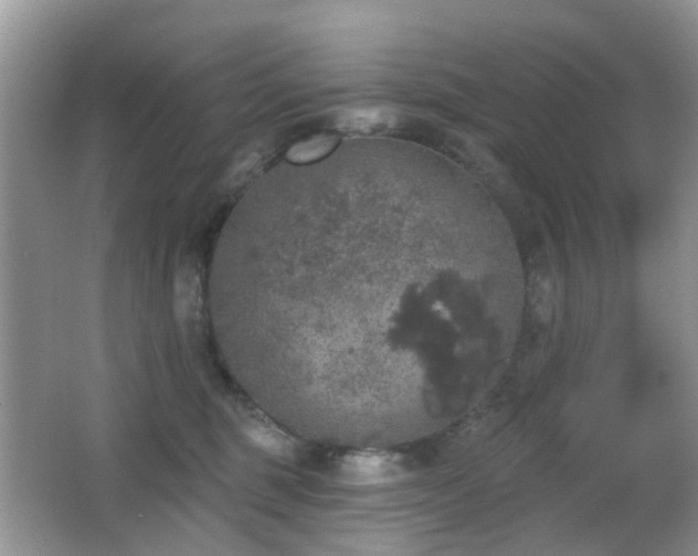 X0000066970375200603241217