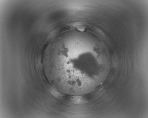 X0000066970377200603241217