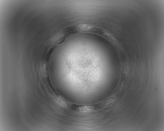 X0000066970378200603241217