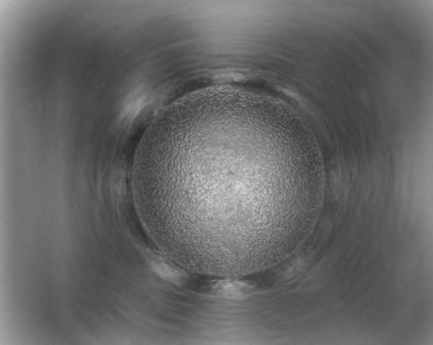 X0000066970379200603241217