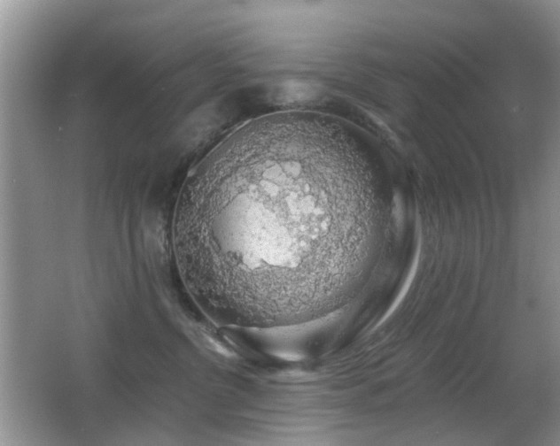 X0000066970380200603241217