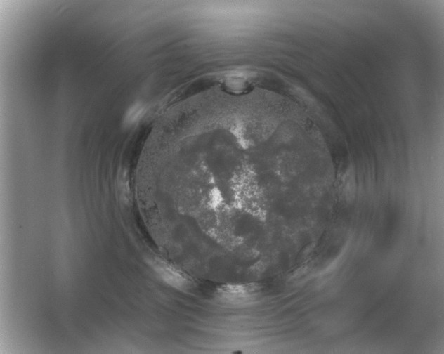 X0000066970381200603241217