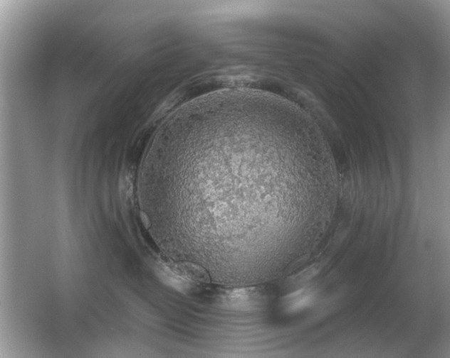 X0000066970382200603241217