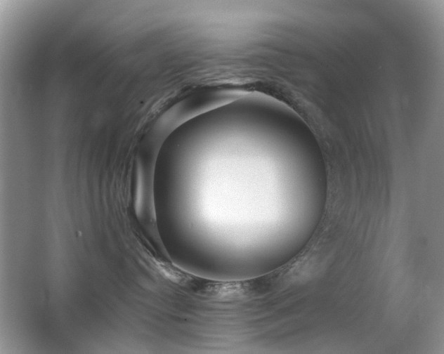 X0000066970384200603241217