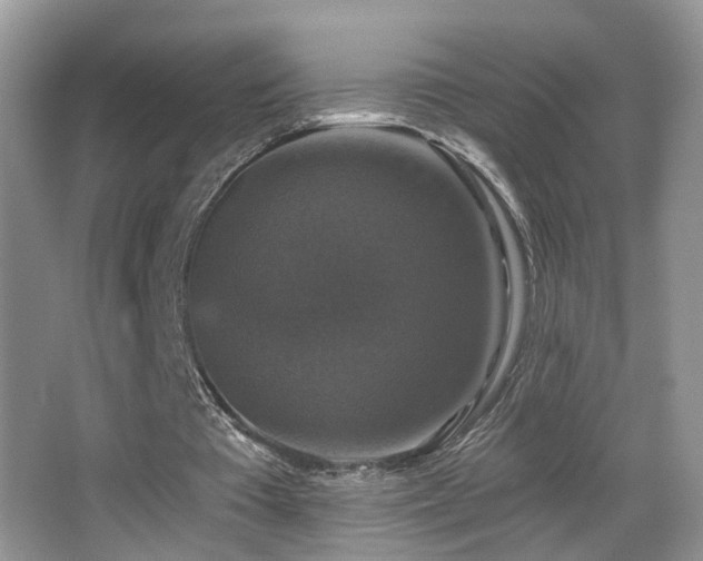 X0000066970385200603241216