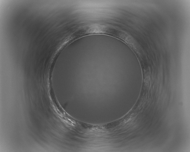 X0000066970386200603241216