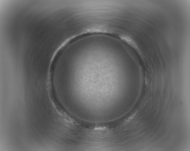 X0000066970388200603241216