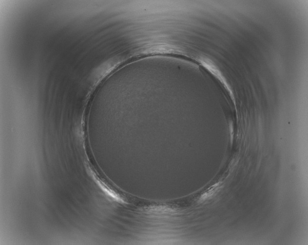 X0000066970389200603241216