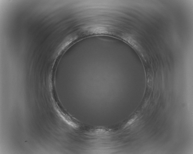 X0000066970390200603241216