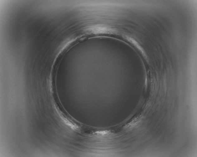 X0000066970391200603241216