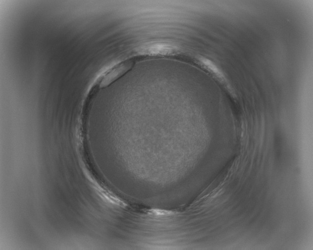 X0000066970392200603241216