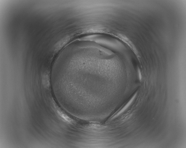 X0000066970393200603241216