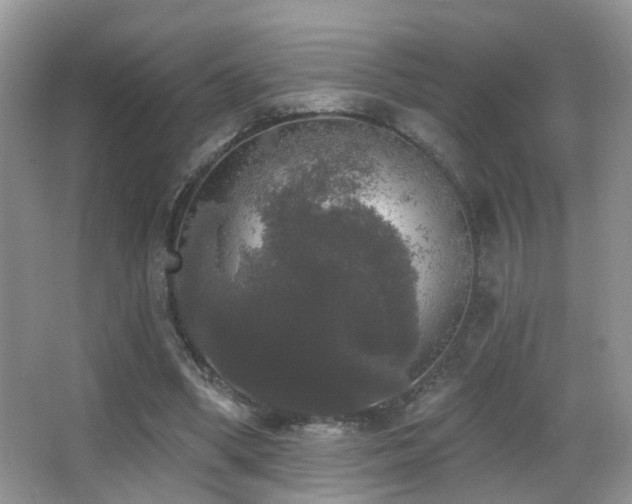 X0000066970394200603241216