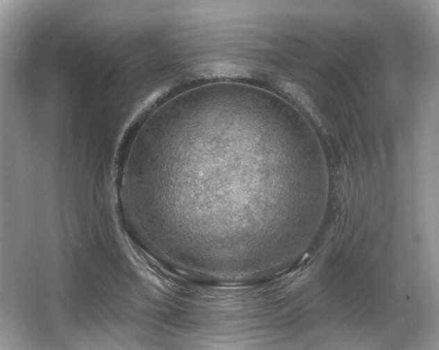 X0000066970395200603241216