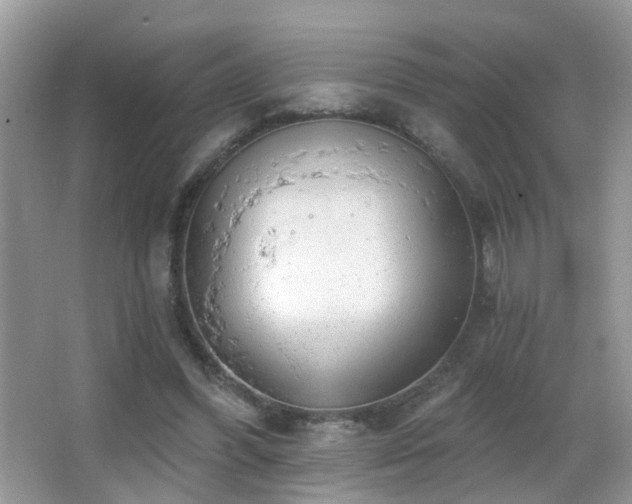 X0000066970396200603241216