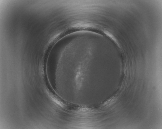 X0000066970399200603241216