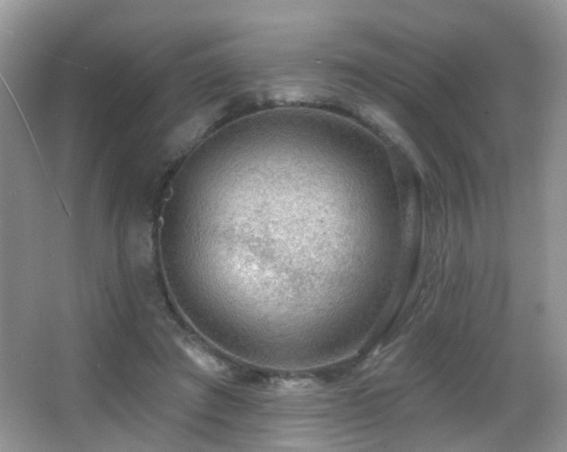 X0000066970401200603241216