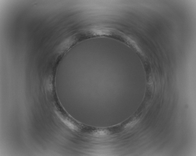 X0000066970402200603241216