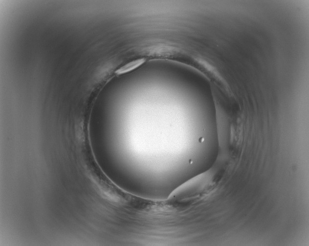 X0000066970403200603241216