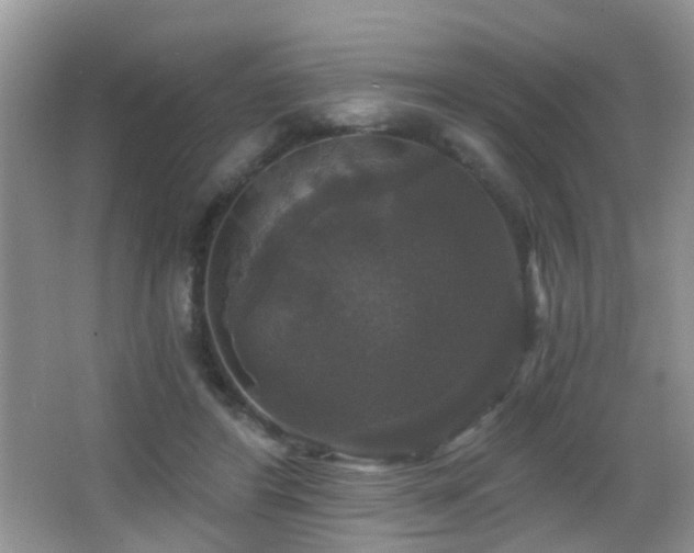 X0000066970404200603241216