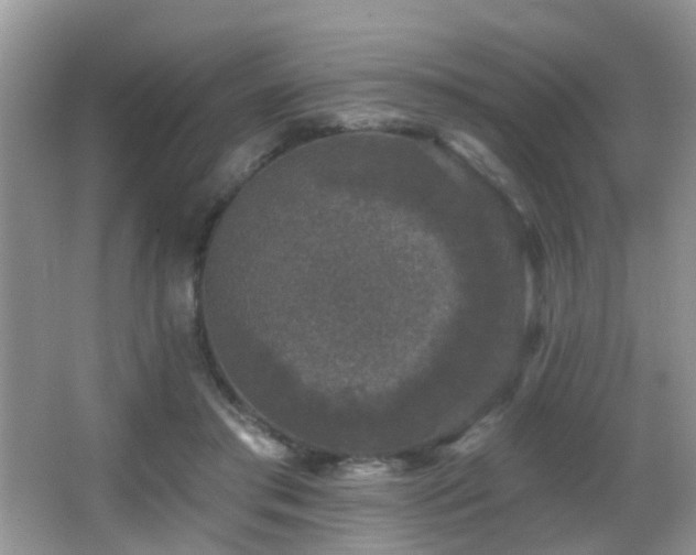 X0000066970405200603241216