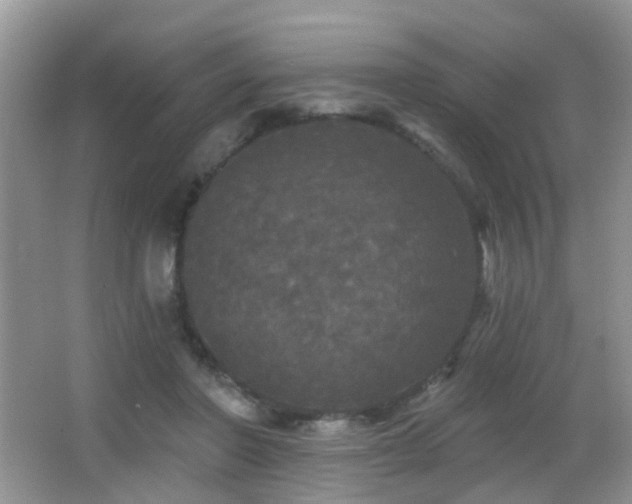 X0000066970406200603241216