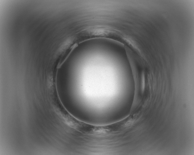 X0000066970407200603241216