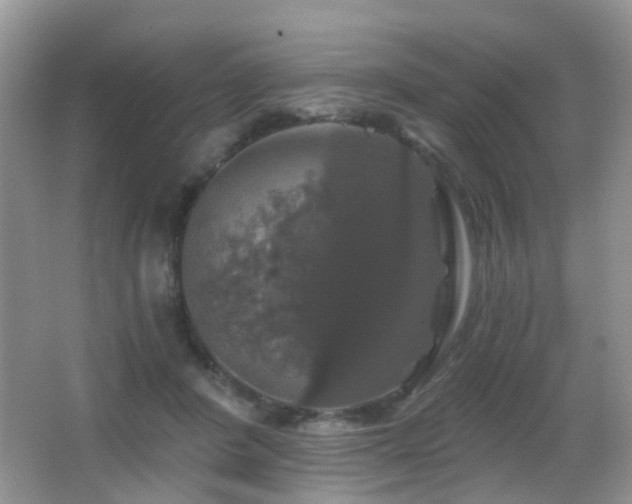 X0000066970408200603241216