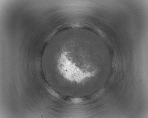 X0000066970409200603241216