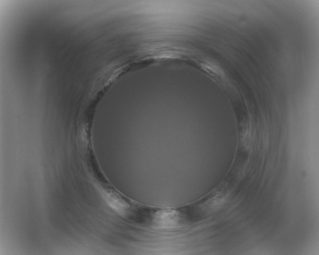 X0000066970410200603241216