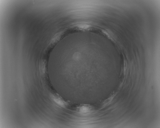 X0000066970412200603241216