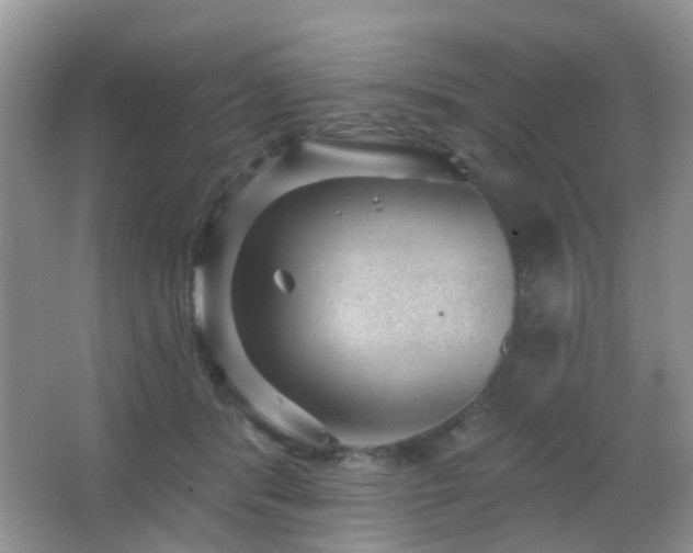 X0000066970416200603241216